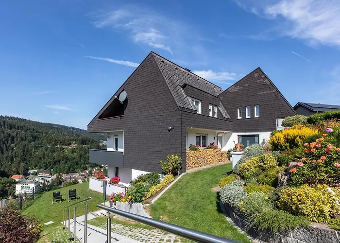 Triberg Blick