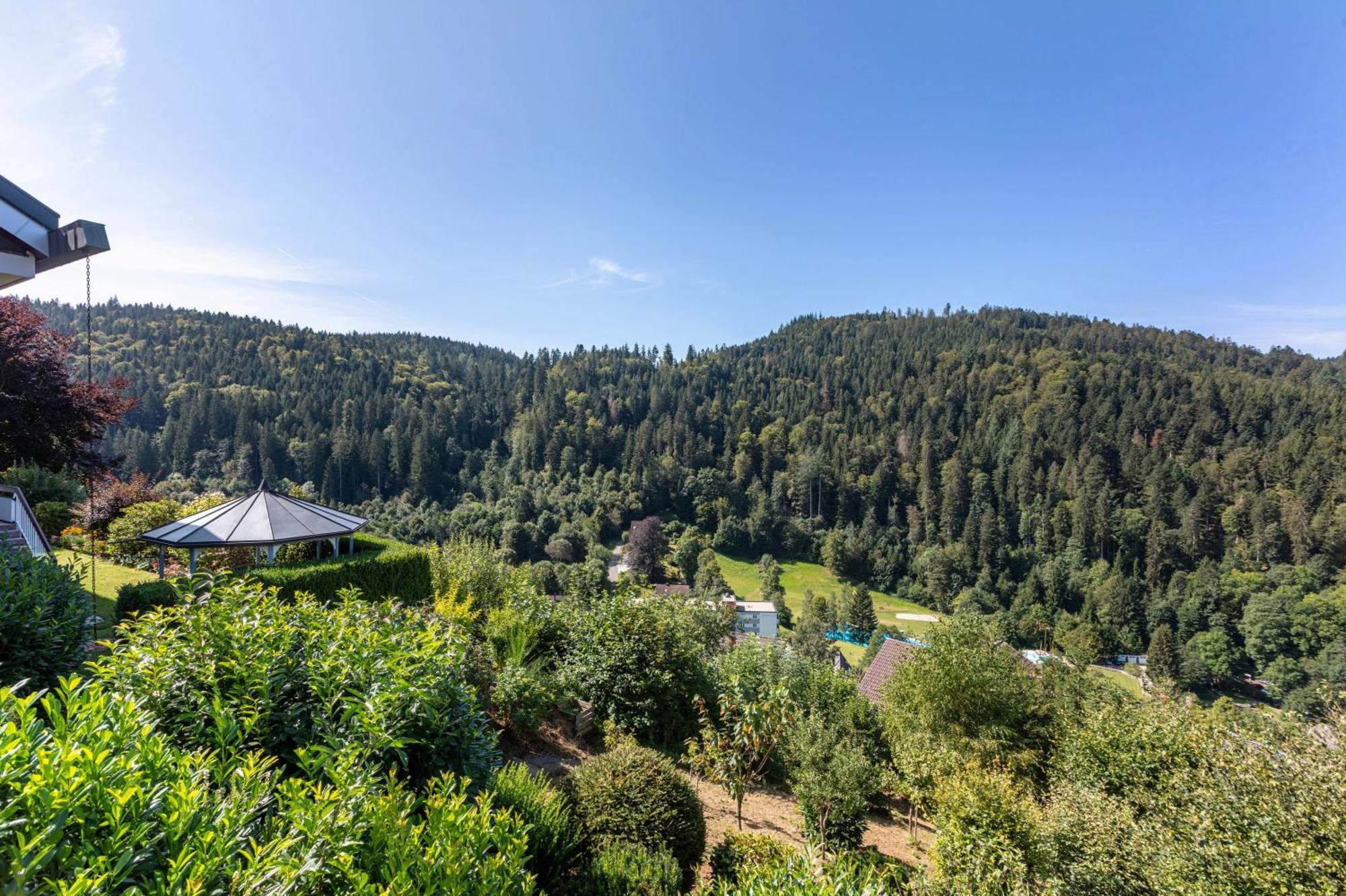 Triberg Blick Triberg im Schwarzwald