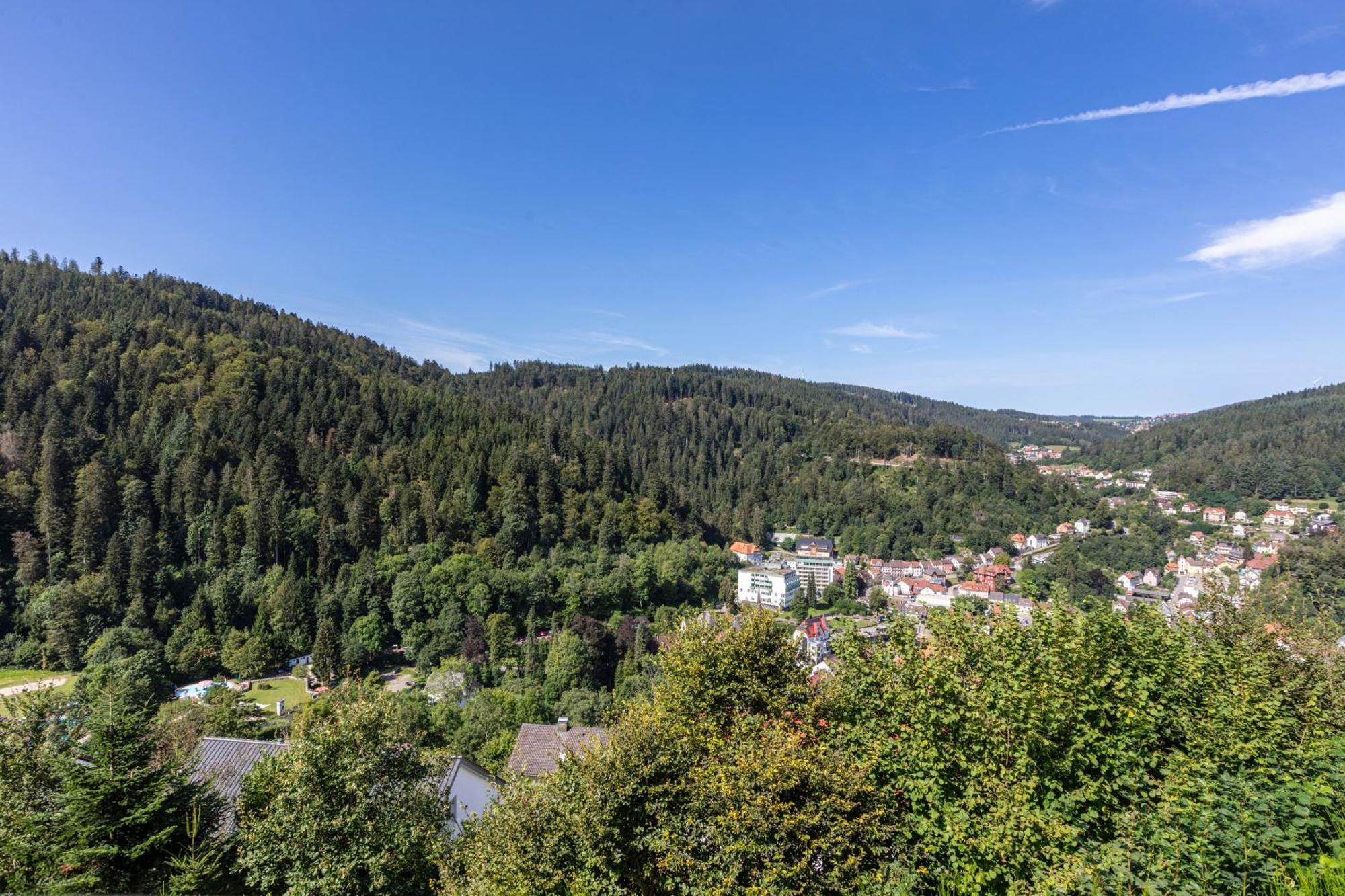 Triberg Blick * Triberg im Schwarzwald